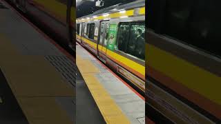 ナハN1編成　平間駅発車