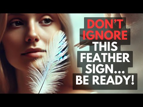 Why You Keep Seeing Feathers Everywhere: Angel Message Revealed