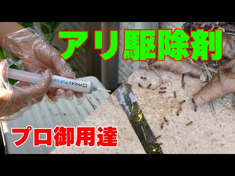 【アリ駆除】プロ用蟻駆除毒餌剤 アルゼンチンアリ イエヒメアリ ヒアリを巣ごと駆除！アドビオン アントジェル！！