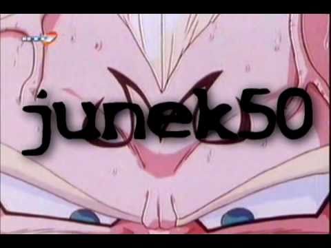 DBZ Intro junka50 Nr.1