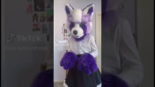 BEST Furry Tik Toks compilation 0136 #shorts #furrytiktok #furry #furrycompilation