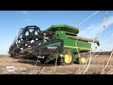 Left $6000 Beans for the Government - Harvest in April