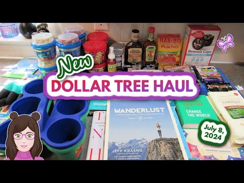 Fun Dollar Tree Haul! Everything I Bought Was $1.25! July 8, 2024