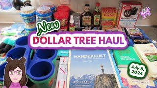 Fun Dollar Tree Haul! Everything I Bought Was $1.25! July 8, 2024