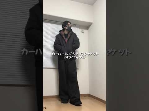 ほぼカーハート！？ZARAおすすめ冬服２選