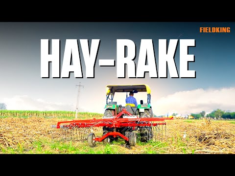 Fieldking Rotary Hay Rake