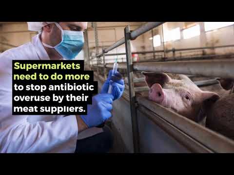 Which Grocery Chains are Acting to Eliminate Routine Antibiotic Use in their Meat Supply?