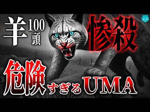 【UMA】軍隊も出動…英国に“実在する”巨大肉食獣｜エイリアンビッグキャットの正体