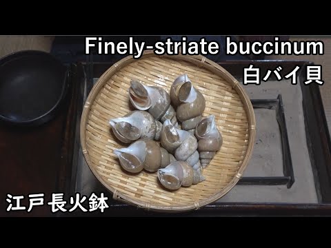 white-bai-shellfish (Finely-striate buccinum)[Japanese food at "NAGA-HIBACHI"]