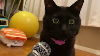 I tried echoing the Meow of a cat [Neko] #Meow song