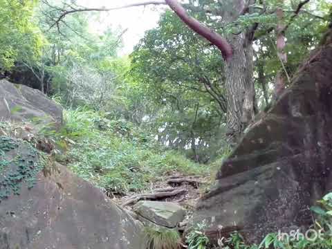 生野高原登山　生野高原登山口からフトウガ峰