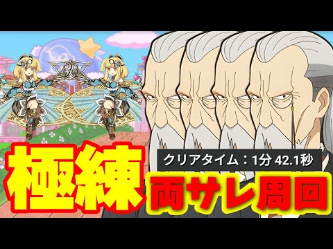 【パズドラ】なんの捻りもない、極練両サレ周回編成