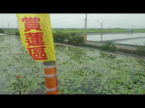 欣賞108/5/8台灣中南部綠色田野很美觀(1)