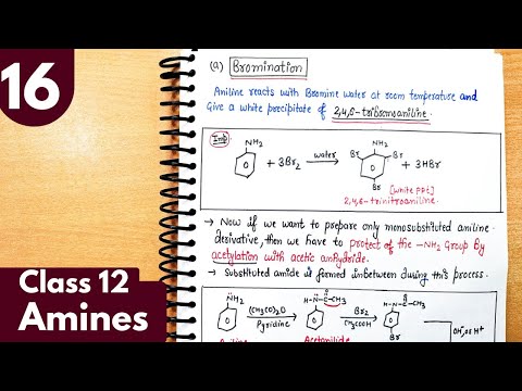 16) Bromination of aniline| Electrophilic substitute reactions of amines| Amines Class12 Chemistry