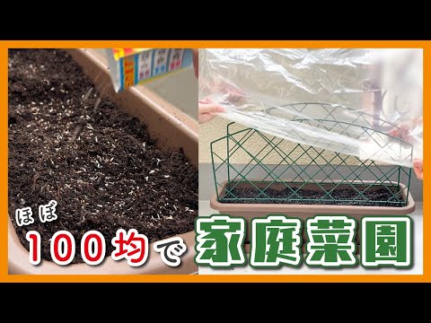 【100均】初めての家庭菜園【簡易ビニールハウス作り】