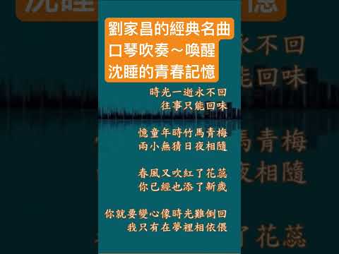 劉家昌名曲🎵口琴演奏版「往事只能回味」～喚醒沈睡的青春記憶～年少的美好時光～回顧🎵『音樂鬼才』劉家昌.尤雅的經典之作