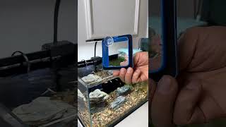 Amazing Filters Aquarium DEAL!#trending #aqurium #fishaquarium #fish #fishtanksetup #shortvideo #fyp