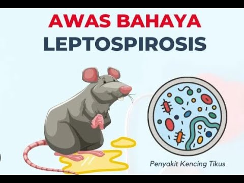 BACAAN UMUM KELAB DOKTOR MUDA