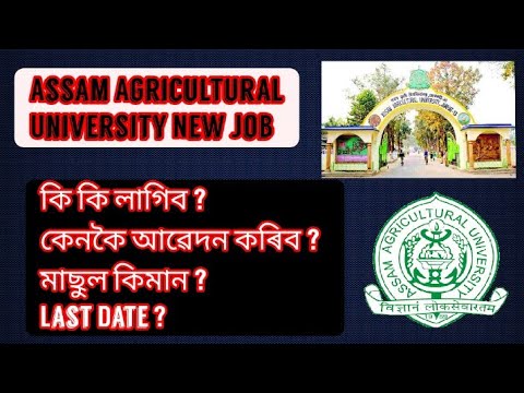 Assam Agricultural University's New Recruitment 2022 || 56 Grade III Vacancy || Job Assam || AAU Job