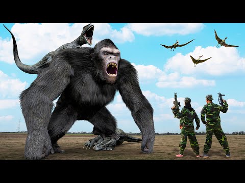 Kong 2 VS Indoraptor Rex | The New Empire | Kingdom of the Planet of the Apes VS Jurassic Park #2024