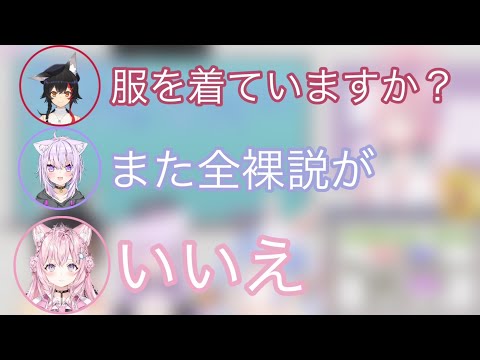 全裸説が何度も浮上するホロのウミガメ【ホロライブ切り抜き/大神ミオ・猫又おかゆ・兎田ぺこら・博衣こより】