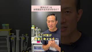 家中のダニを全部退治する方法ってあるの？ #shorts