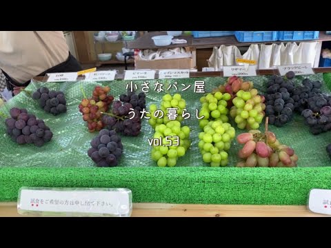 【暮らしvlog】秋の自家製酵母/お出かけ/小麦の会①種蒔