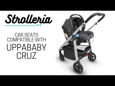 Car Seats Compatible with UPPAbaby CRUZ