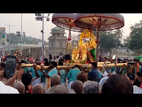 Sri Tirumala Venkateswara Swamy Darashan Vedio