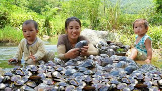 Harvest giant oysters to sell at the market - make minced meat porridge for your children