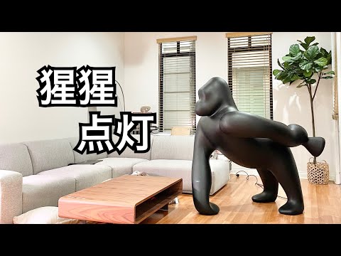 【开箱】终于等到来自意大利的你｜qeeboo kong