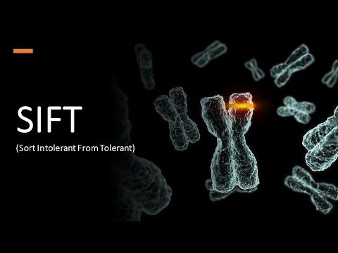 SIFT (Sort Intolerant From Tolerant)