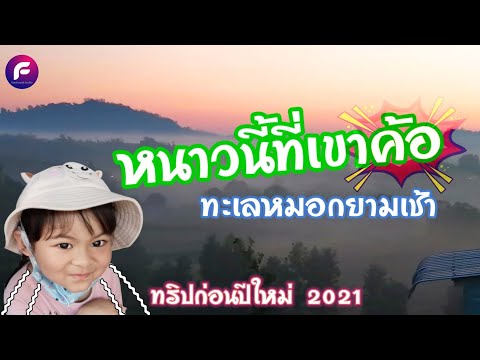 เกียร์ออโต้จะขึ้นไหวมั้ย เที่ยวเขาค้อ , เพชรบูรณ์ ทริปก่อนปีใหม่ 2021| food travel studio