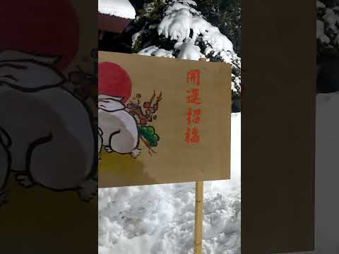 當麻神社　ウサギ