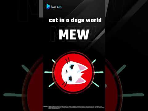 New Listing Alert! Get ready to trade MEW #KoinBX #MEW #listing #token