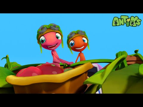 Reaching for the Top! | Antiks 🐜 | Funny Cartoons for Kids