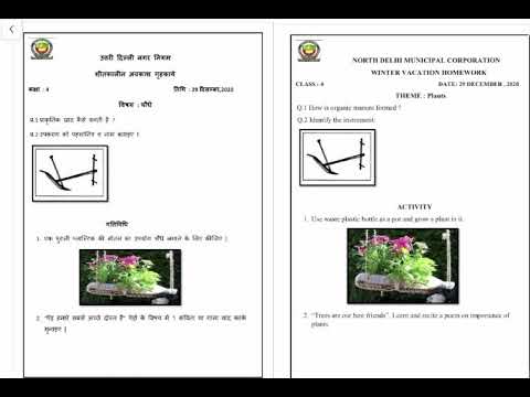 Class 4 EVS Holiday Homework Winter vacation |How to do| शीतकालीन अवकाश हेतु गृहकार्य कैसे करें