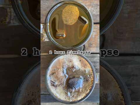 Monster Energy Vs Vinegar for Rust Removal