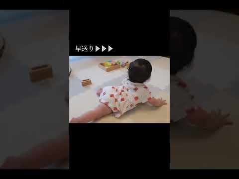 【生後8ヶ月】自分の足をくるくる追いかける赤ちゃん/足が気になる　#shorts #赤ちゃん #baby