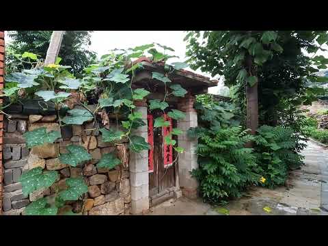 【山东·青岛】漫山遍野的花香，飘散在村子的每个角落 Discover the Real China in 4K HDR