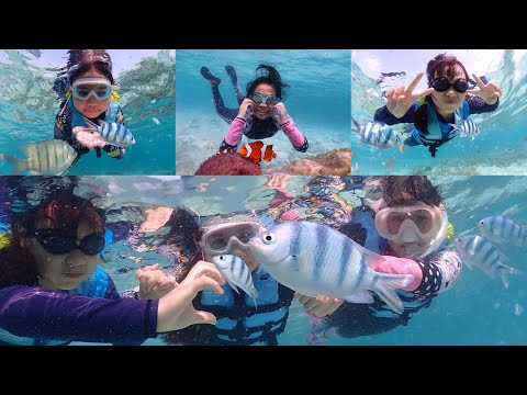 Family trip : Koh Samaesarn