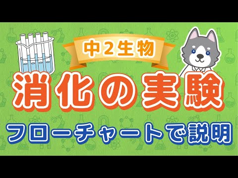 中2理科『だ液の働きを調べる消化の実験』