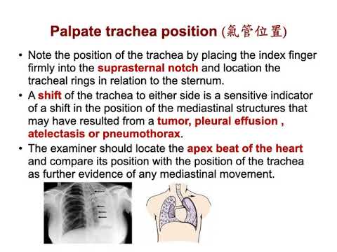 20211013 respiratory system part2