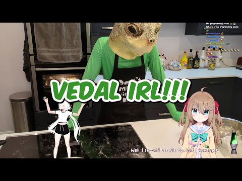 Vedal Does A Flip IRL