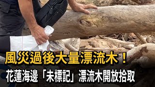 風災過後大量漂流木！ 花蓮海邊「未標記」漂流木開放拾取－民視新聞