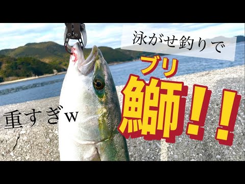 【泳がせ釣り】２０２２年ラスト釣行で鰤来た！！