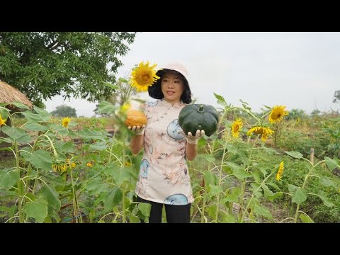 把南瓜花，青南瓜，老南瓜全部都折腾一遍