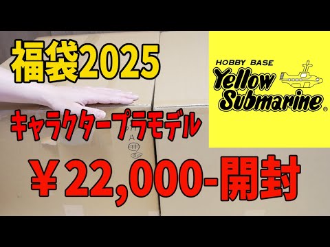 【福袋2025】イエサブ：キャラクタープラモデル2万円開封の儀！今年は仮面ライダーいくつ入っているかな？ホビーベースイエローサブマリン