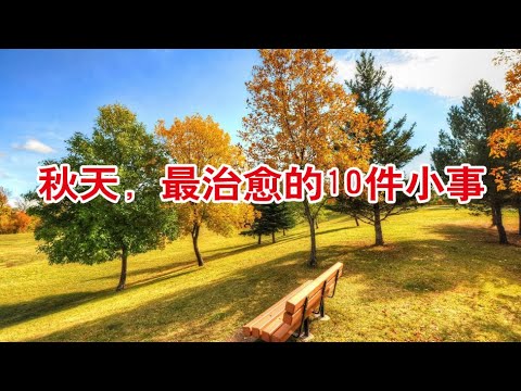 秋天，最治愈的10件小事。惬意又温暖！【琼音读书】