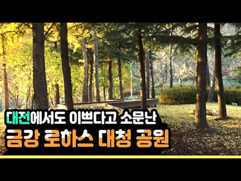 대전에서도 예쁘다고 소문난 금강로하스 대청공원 ✨